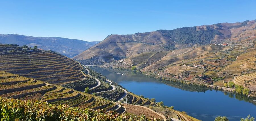 From Porto Day Douro Valley Wine Tour 2 Wine Tasting & Lunch - Should you book this Douro Valley Wine Tour from Porto?