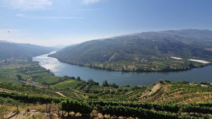 From Porto Day Douro Valley Wine Tour 2 Wine Tasting & Lunch - Wine tastings at two stops, without the stiff tourist script