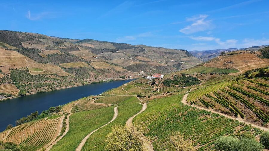 From Porto Day Douro Valley Wine Tour 2 Wine Tasting & Lunch - Rabelo boat cruise on the Douro River: calm water, big feeling
