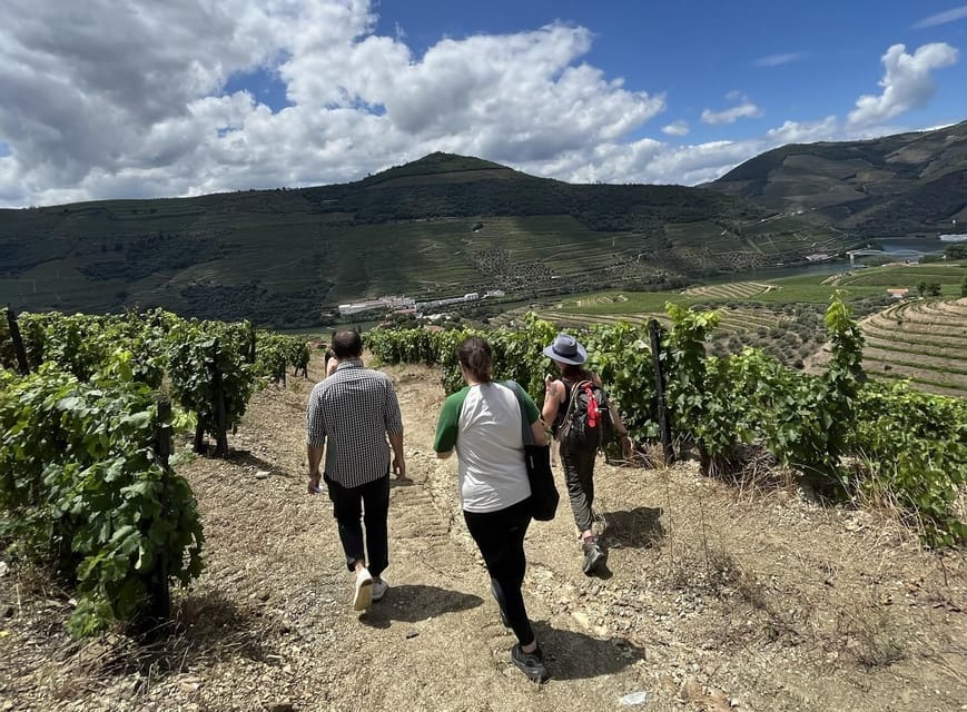 From Porto : Douro Valley sightseeing with 1 Winery Visit - Peso da Régua and the National 222 viewpoints