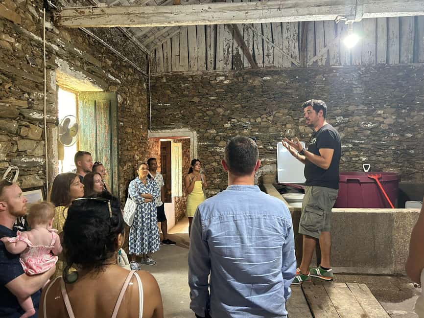 From Porto : Douro Valley sightseeing with 1 Winery Visit - Price and value: what $61 gets you, and what to watch for