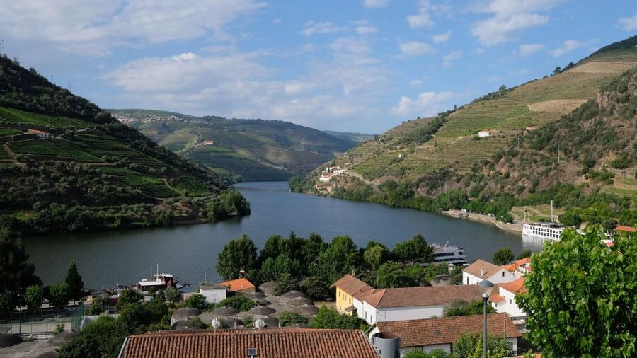From Porto: Douro Valley Tour with Tastings, Boat & Lunch - Key Takeaways Before You Go