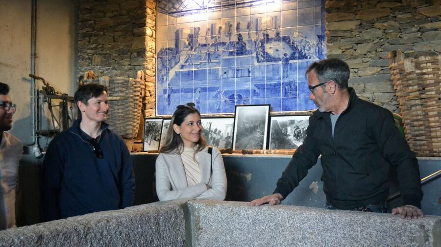 From Porto: Douro Valley Tour with Tastings, Boat & Lunch - Should You Book This Douro Valley Tour From Porto?