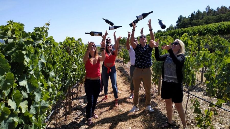 From Porto: Douro Valley Tour with Tastings, Boat & Lunch - Porto to the Douro in One Day, Without the Big-Bus Feel