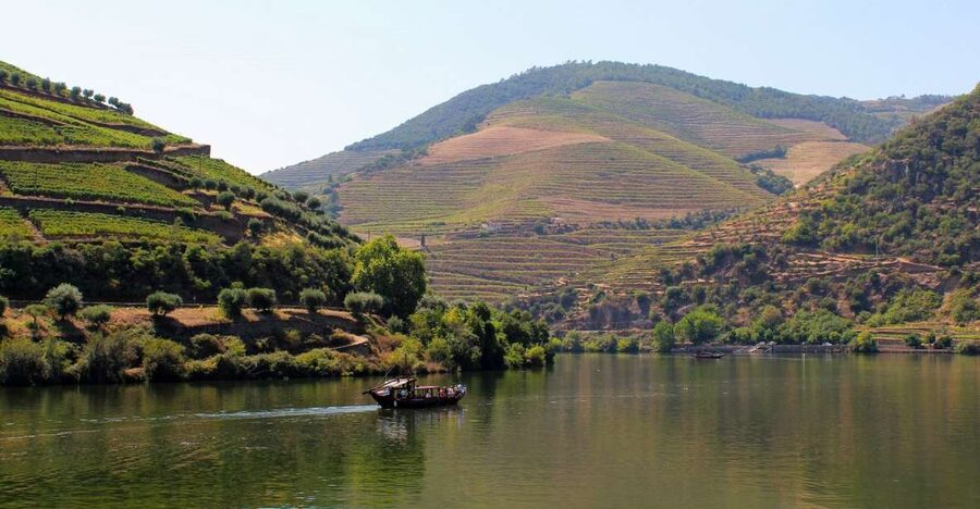From Porto: Douro Valley Tour with Tastings, Boat & Lunch - Who This Tour Suits Best, and Who Might Skip It