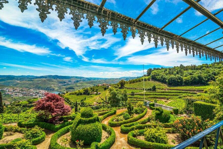 From Porto: Douro Valley w/ Boat Tour, Wine Tasting & Lunch - Lunch in a Douro cellar: where the region shows up on the plate