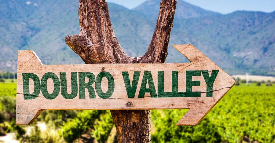 From Porto: Douro Valley w/ Boat Tour, Wine Tasting & Lunch - N222 scenic drive and photo stops you will actually use