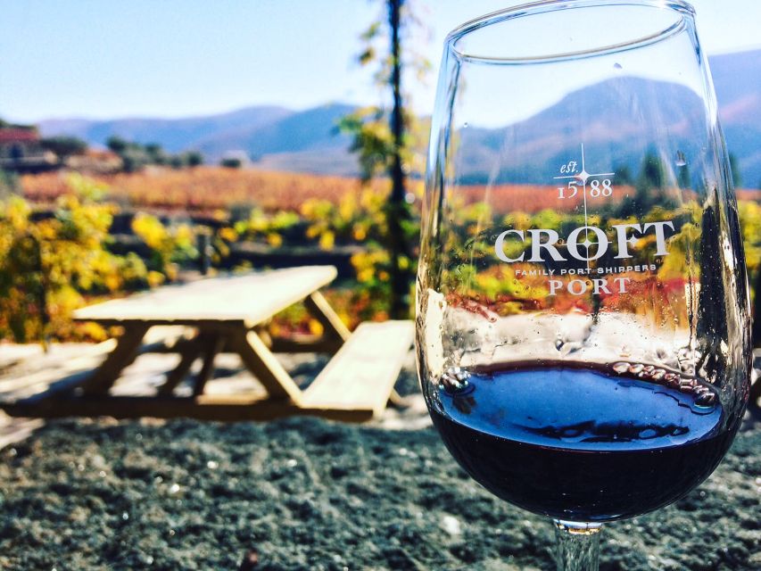 From Porto: Douro Valley w/ Boat Tour, Wine Tasting & Lunch - The olive oil tasting and what it adds to the wine story