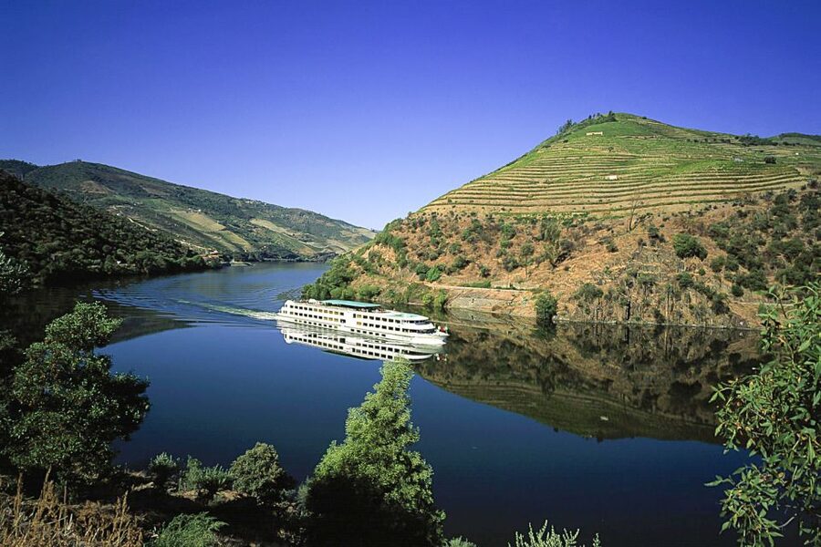 From Porto: Full-Day Douro Historical Tour - Key things to look forward to
