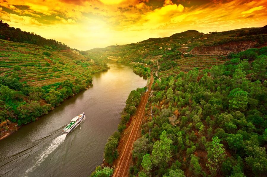 From Porto: Full-Day Douro Historical Tour - Pinhão scenic cruise: why you should protect this time