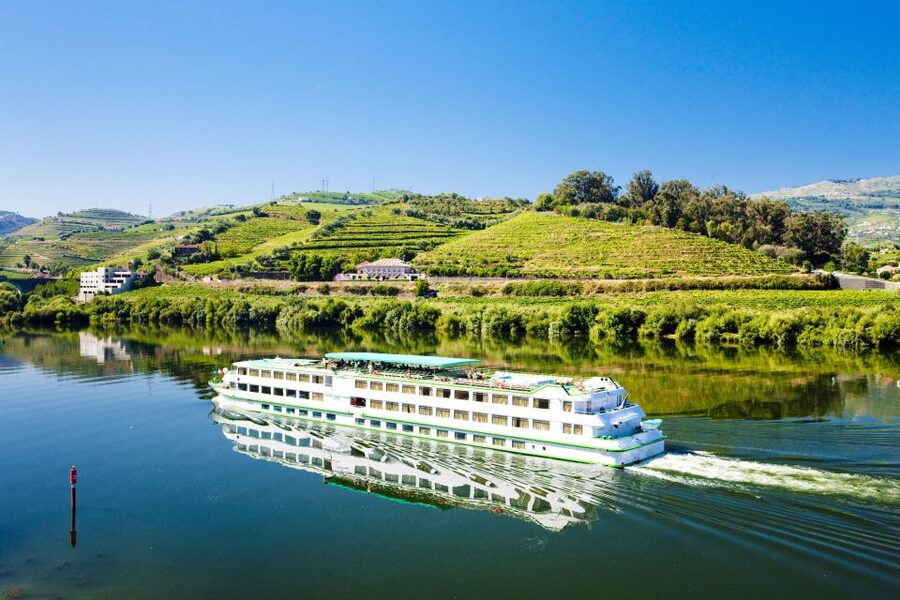 From Porto: Full-Day Douro Historical Tour - The guide factor: why named personalities matter on a day like this