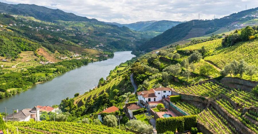 From Porto: Full-Day Douro Historical Tour - The coach-and-viewpoint rhythm: what the bus schedule does well