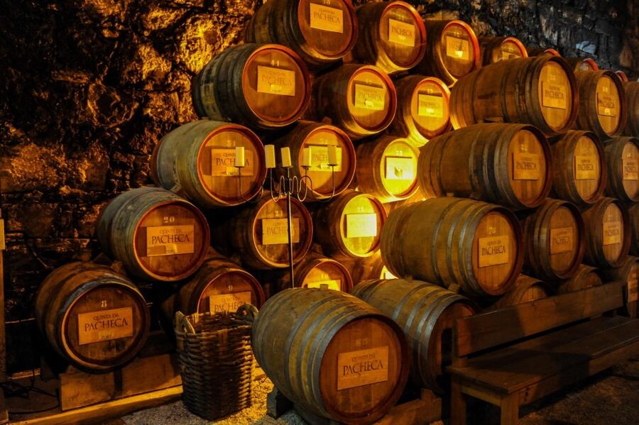 From Porto: Full-Day Douro Valley Trip - Who This Douro Valley Trip Suits Best