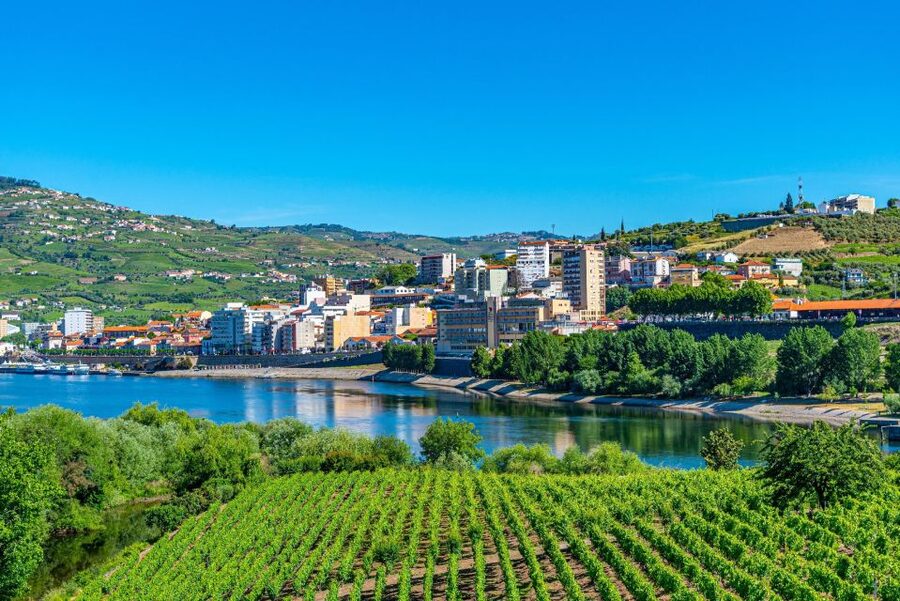 From Porto: Full-Day Douro Valley Trip - Lunch in a Wine Cellar: Local Flavors Plus Douro Pairing