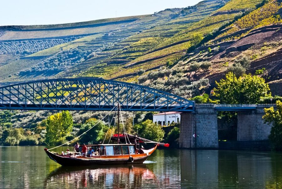 From Porto: Full-Day Douro Valley Trip - Pinhão and the 1-Hour Douro River Cruise: The Most Relaxing Part