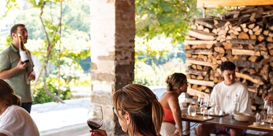 From Porto: Full-Day Douro Valley Trip - Wine Estate Stop 2 in Pinhão: A Second Producer, Another Perspective