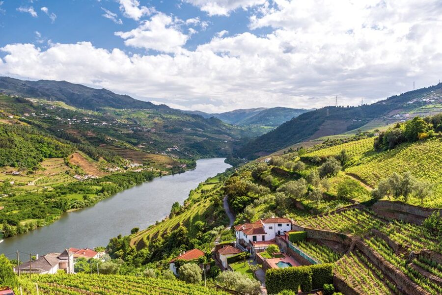 From Porto: Full-Day Trip of Minho Region - Price and value at around $69: what you get for the money