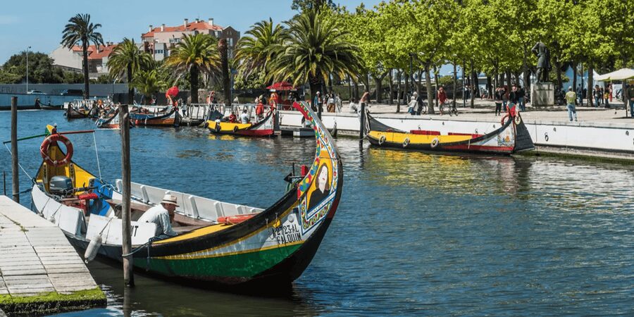 From Porto: Full-Day Trip to Coimbra & Aveiro with Boat Ride - A full-day plan that actually flows from Porto