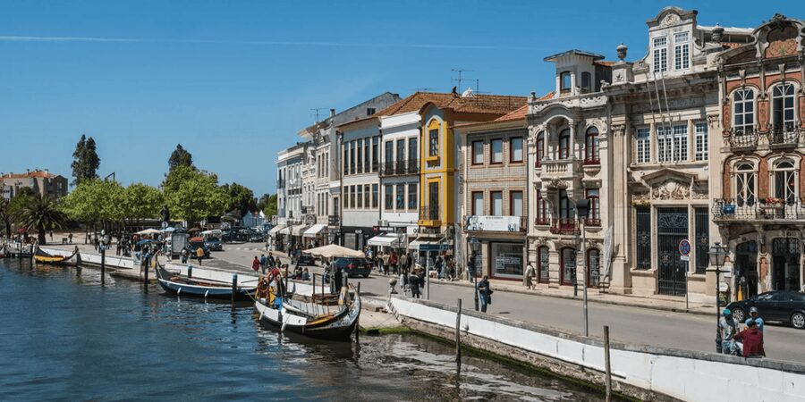 From Porto: Full-Day Trip to Coimbra & Aveiro with Boat Ride - How the pacing feels in real life