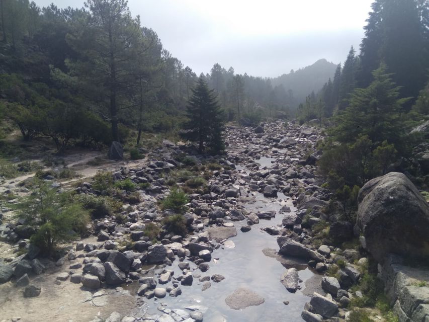 From Porto: Guided tour to Gerês Park - The guide experience: Ricardo and Bruno set the tone