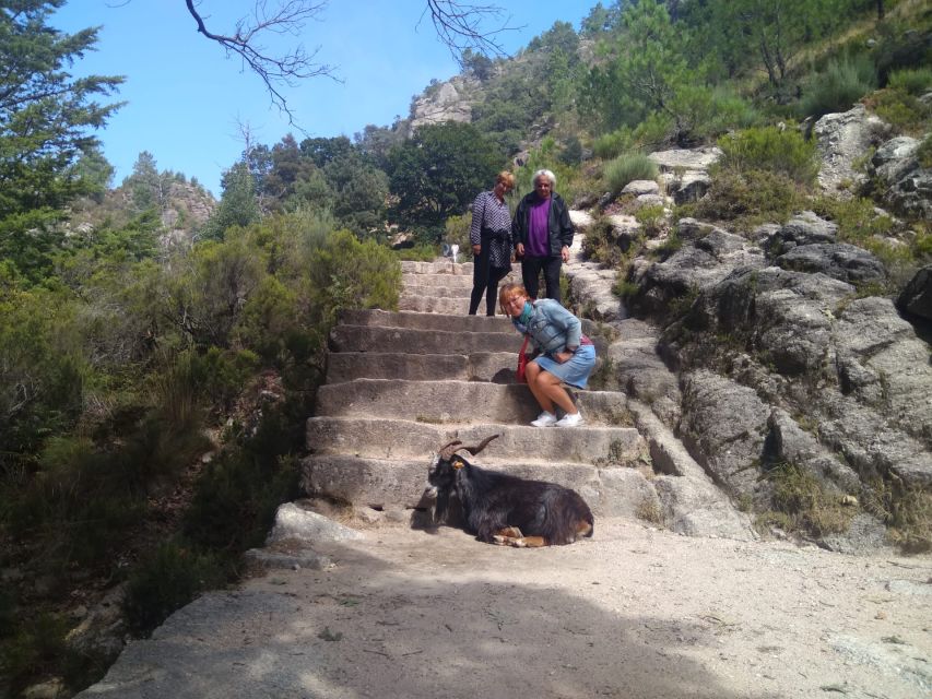 From Porto: Guided tour to Gerês Park - Getting from Porto (or Braga) without hassle