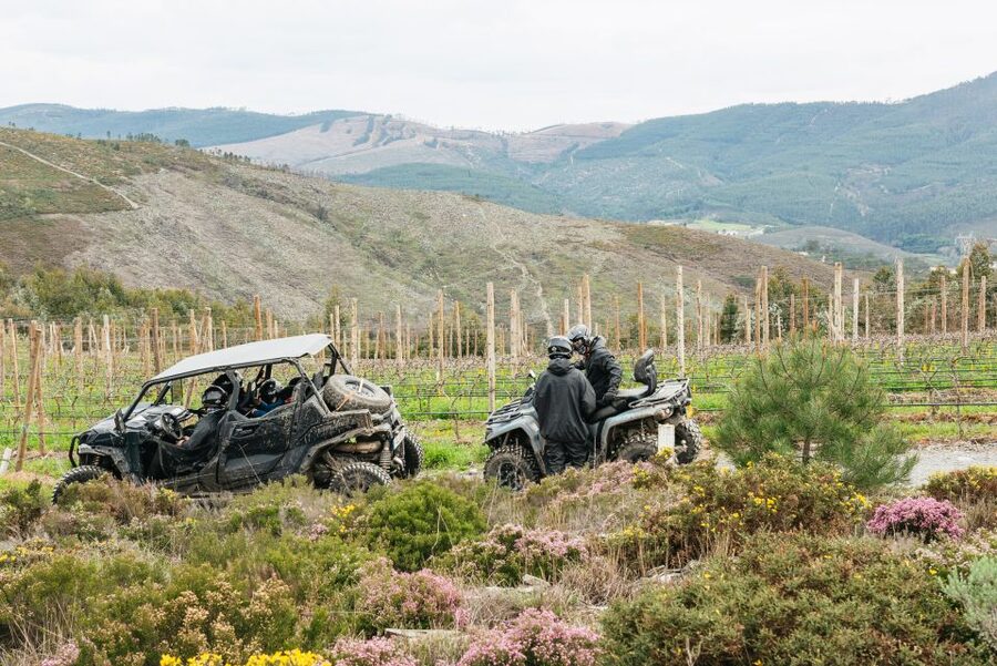 From Porto: Off-Road Buggy Adventure - Key things that make this buggy tour worth your time