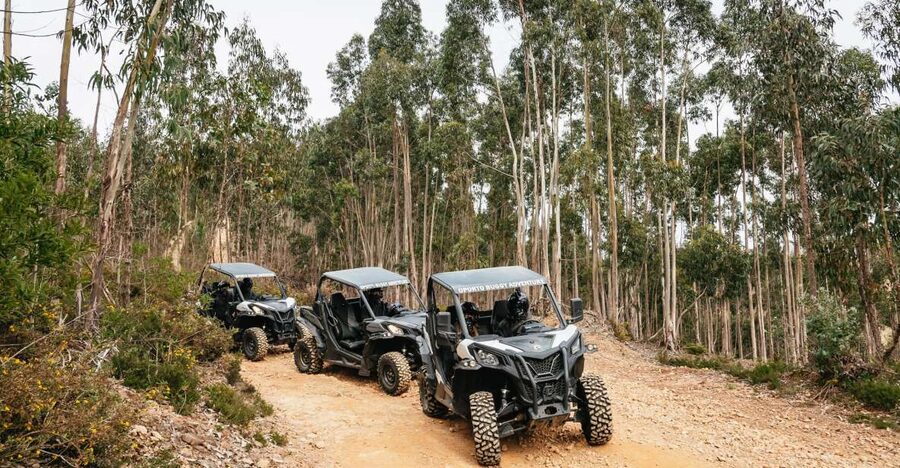 From Porto: Off-Road Buggy Adventure - Stop One: panoramic photo time before the rougher paths