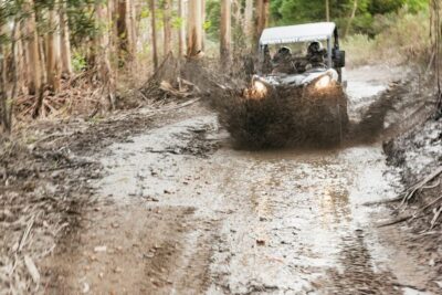 Off-Road Buggy Adventure