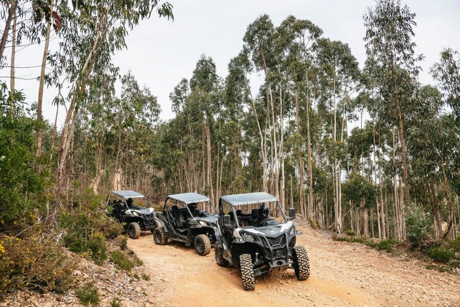 From Porto: Off-Road Buggy Adventure - Castro Mozinho Roman ruins: history you can actually picture