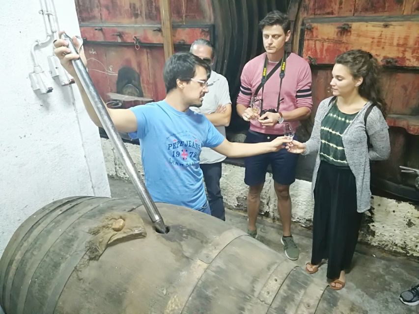 From Porto: Premium Douro Valley 4 Vineyards Tour with Lunch - What You Actually Taste, From Porto to DOC Wines and Olive Oil