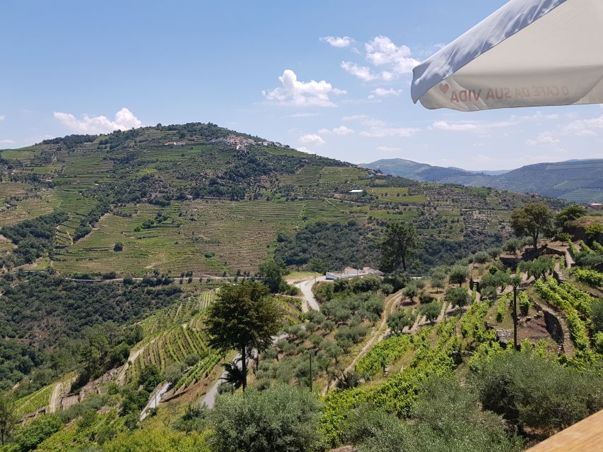 From Porto: Premium Douro Valley 4 Vineyards Tour with Lunch - Small Group Comfort, Expert Local Guide, and the Real Value of Pace