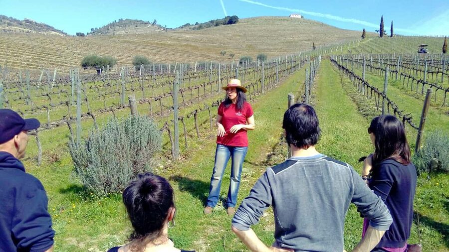 From Porto: Premium Douro Valley 4 Vineyards Tour with Lunch - Meeting in Porto and Getting to the Valley Comfortably