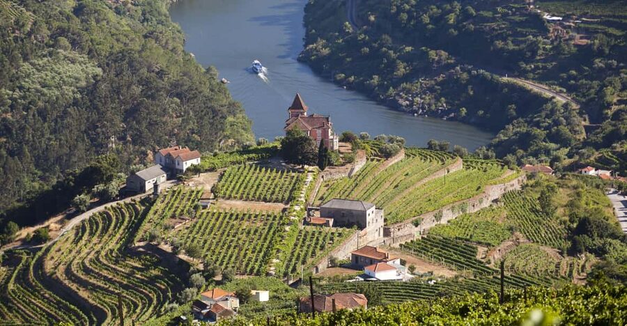 From Porto: Premium Douro Valley Small-Group Wine Tour - From Porto: why this “10 hours, two wineries, one cruise” format works