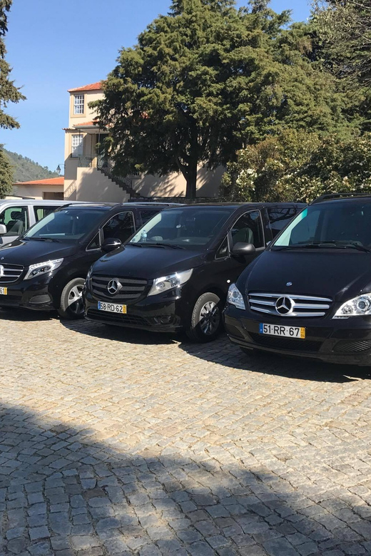 From Porto: Premium Douro Valley Small-Group Wine Tour - First winery visit: a tasting-led look at Douro wine style