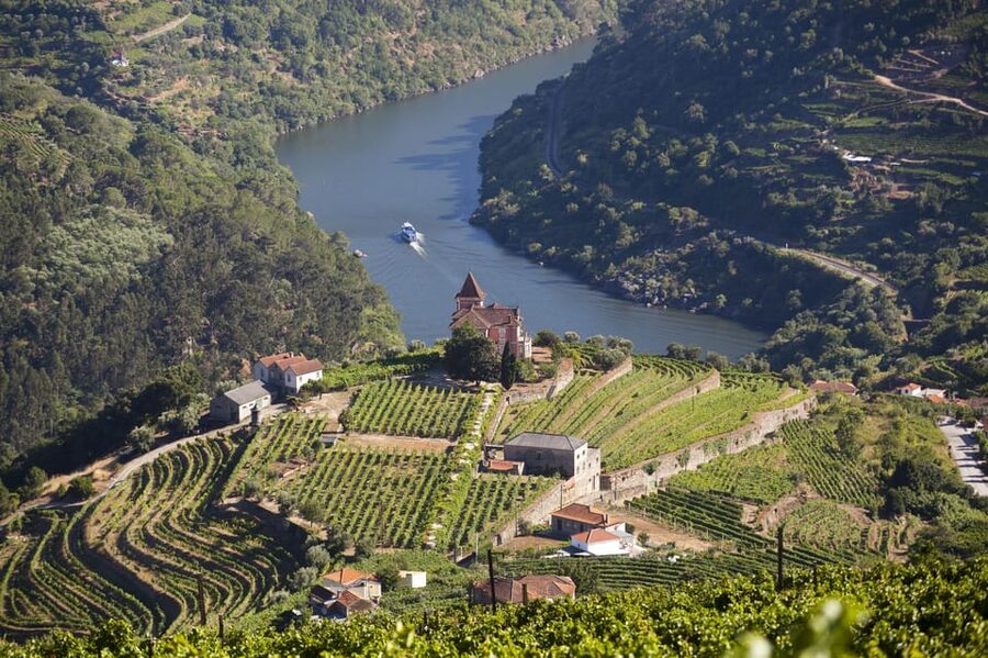 From Porto: Premium Douro Valley Small-Group Wine Tour - Lunch in a premium setting, with vintage port opened over fire