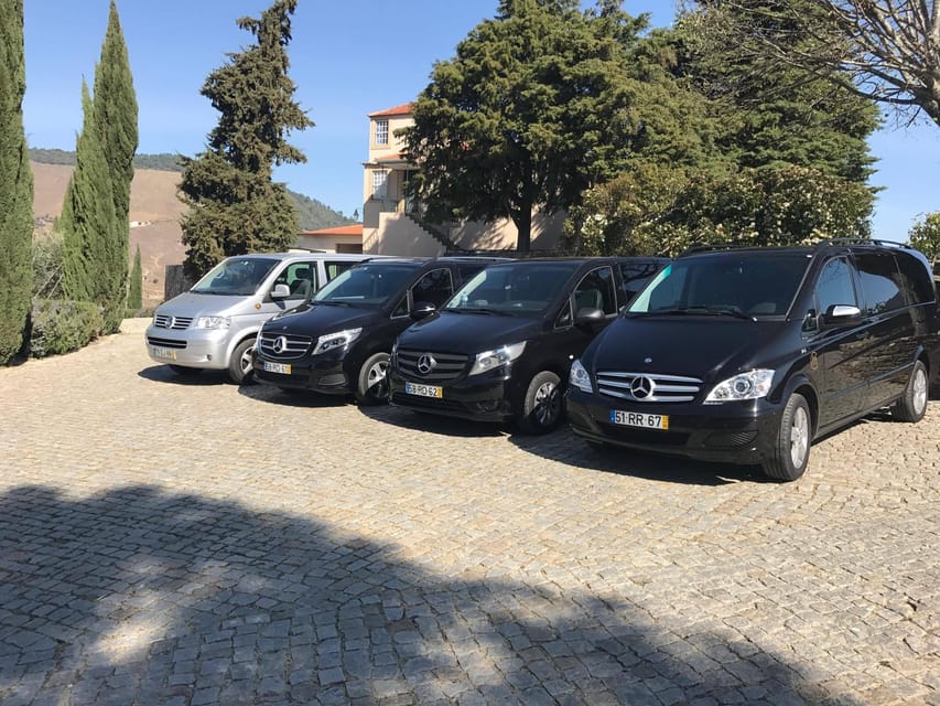 From Porto: Premium Douro Valley Small-Group Wine Tour - Transport and timing: what to expect on the roads to the Douro