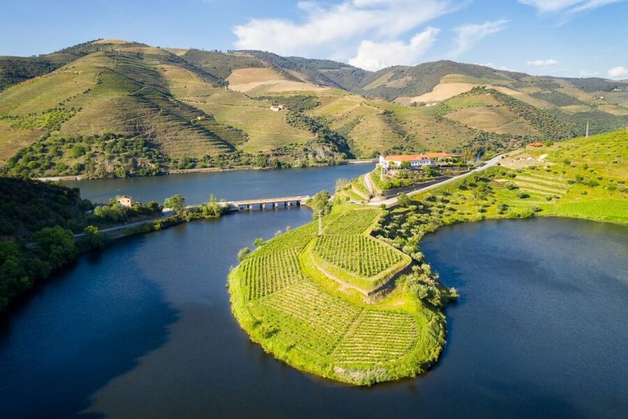 From Porto: Private Douro Valley Tour with Booking Service - Key things you’ll notice right away