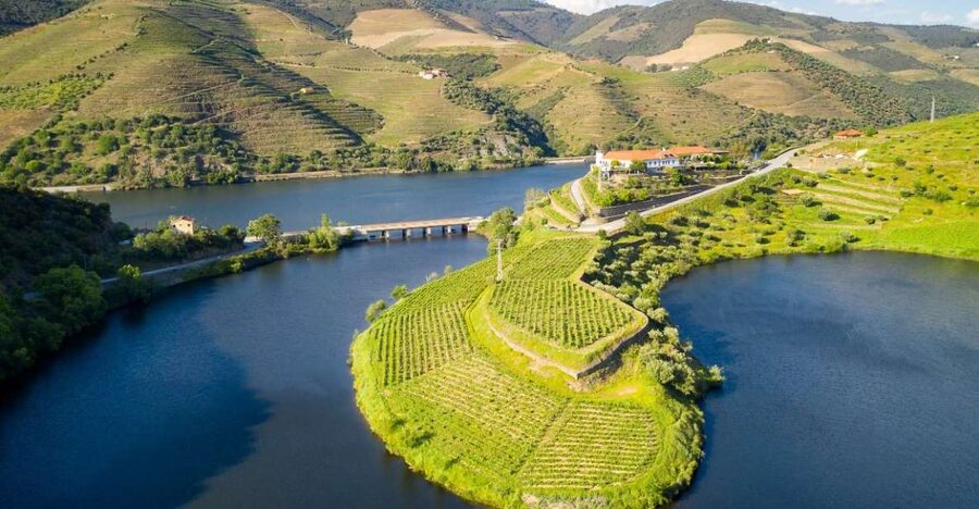From Porto: Private Douro Valley Tour with Booking Service - Casa de Casal de Loivos: A Short Stop That Sets the Tone