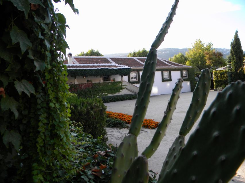 From Porto: Private Douro Valley Tour with Booking Service - Wine Estates and Tastings, Plus What You Should Budget For