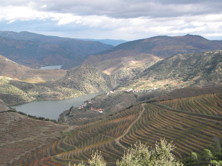 From Porto: Private Douro Valley Tour with Booking Service - Private Car Comfort, Plus Real Driver-Guide Communication