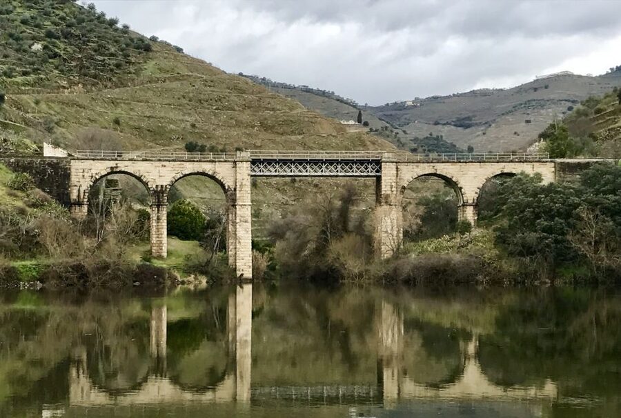 From Porto: Private Douro Valley Tour with Cruise and Wine - Two wineries and tastings, from dry styles to Port stories
