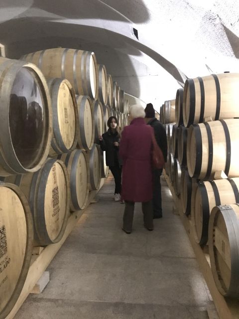 From Porto: Private Douro Valley Tour with Cruise and Wine - The one-hour Douro river cruise that ties it all together
