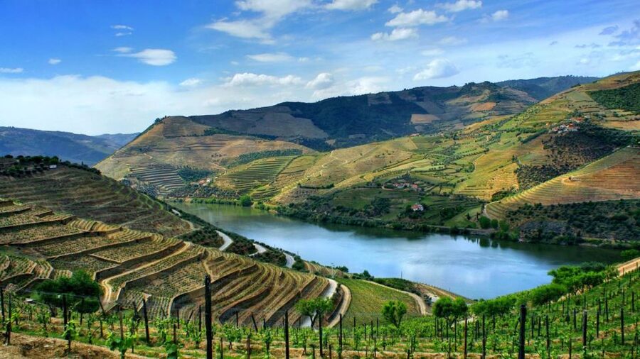From Porto: Régua to Porto River Cruise with Lunch on Board - Key Things You’ll Notice on This Douro Cruise