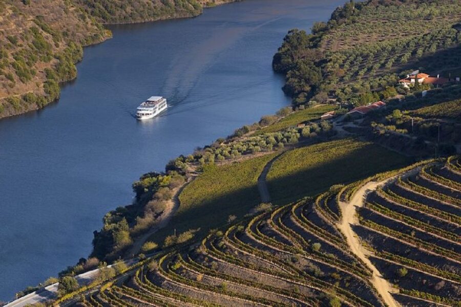 From Porto: Régua to Porto River Cruise with Lunch on Board - A Calm Douro Reset From Porto, With Real Wine-Country Views