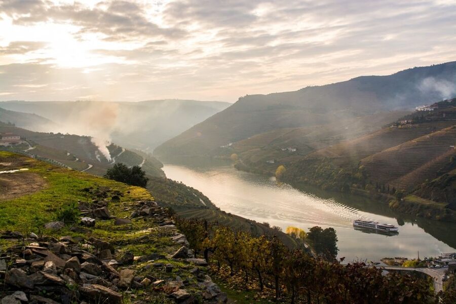 From Porto: Régua to Porto River Cruise with Lunch on Board - Lunch On Board: All-Inclusive Comfort Without Extra Planning