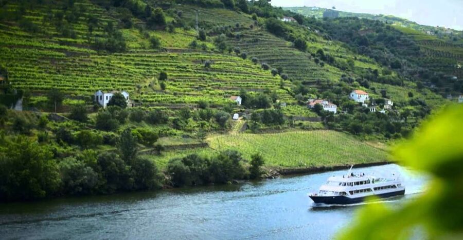 From Porto: Régua to Porto River Cruise with Lunch on Board - Price and Value at About $84 Per Person