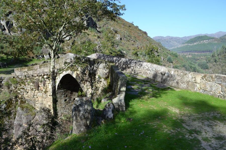 From Porto: Small Group Day Tour of Geres Park with Picnic - A picnic stop that feels intentionally remote