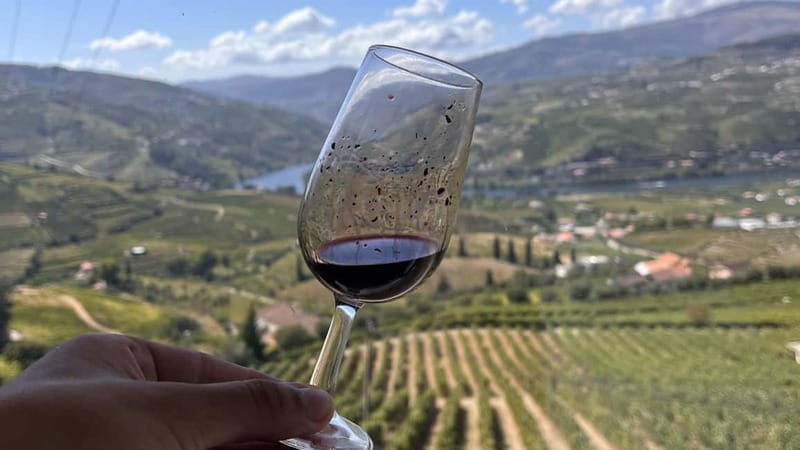 From Porto: Tastings at 2 Wineries, Chef's Lunch & Boat Tour - Pinhão and the Private One-Hour Boat Cruise You Actually Want