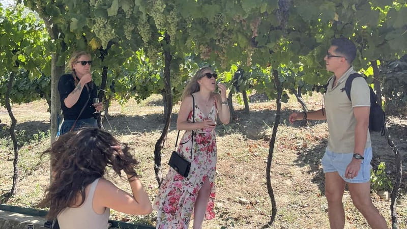 From Porto: Tastings at 2 Wineries, Chef's Lunch & Boat Tour - Two Small Family Wineries: Tastings That Feel Less Like a Script
