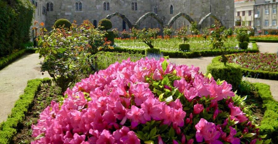 From Porto: Wonders of Braga & Guimaraes Private Day Trip - Braga Cathedral and Sé Cathedral area: where the day starts to click
